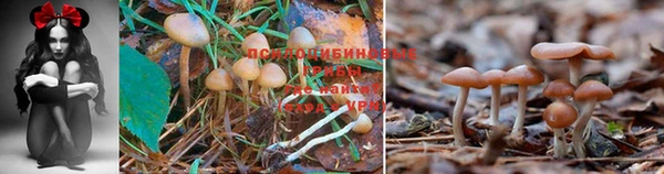 мефедрон мука Кодинск