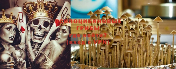 соль ск Козловка