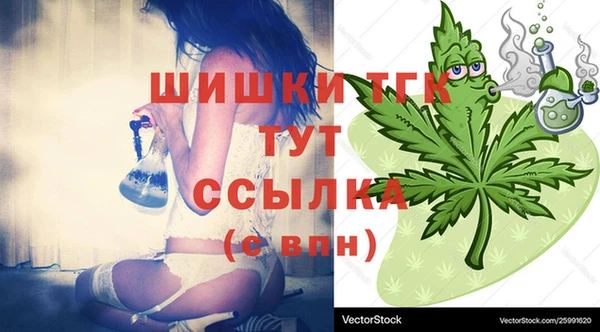 МДПВ Козельск