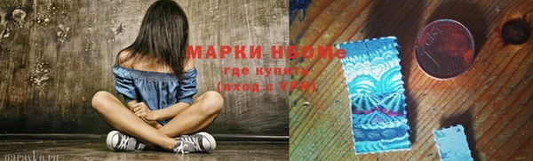 МДПВ Козельск