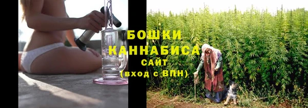 соль ск Козловка