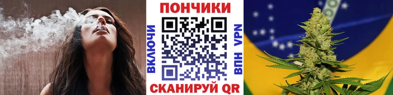 Бошки Шишки марихуана Купить закладки Егорьевск